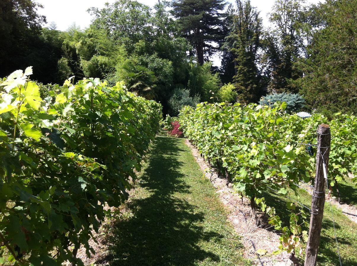 Chateau De Beaulieu Saumur Luaran gambar
